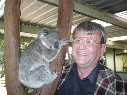 koala-s1.jpg