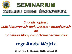 Seminarium Aneta Wójcik