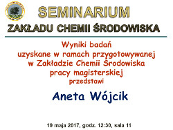 Seminarium Aneta Wójcik